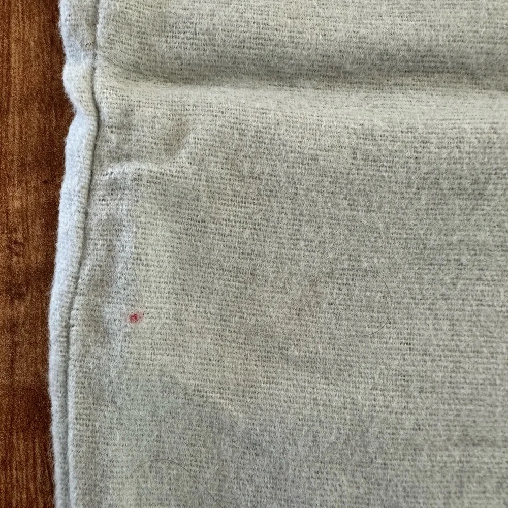 Authentic Giuseppe Zanotti dust bag